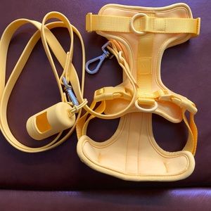 Wild One Harness and leash in Butter 🧈 !!!NWOT